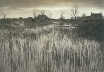 A Rushy Shore, Life and Landscape on the Norfolk Broads by Peter Emerson und Thomas Goodall
